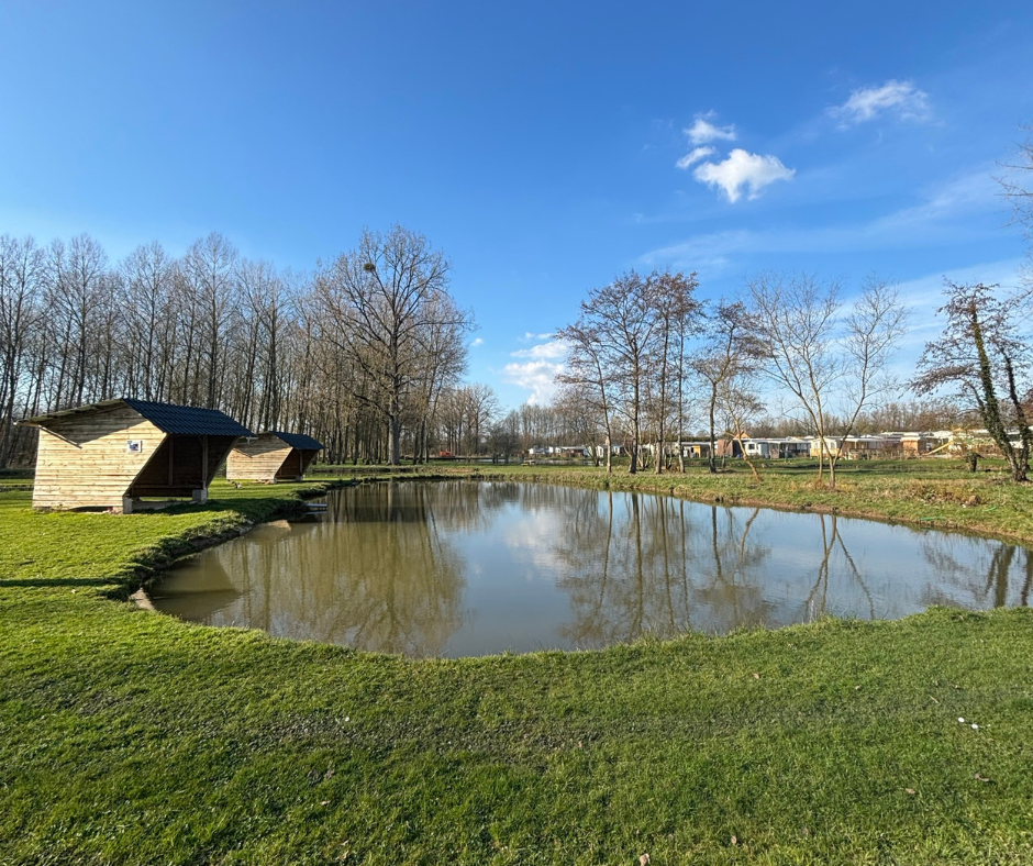 Etang Le Chirurgien des Etangs Martin Pêcheur