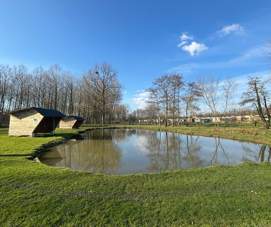 Etang Le Chirurgien des Etangs Martin Pêcheur
