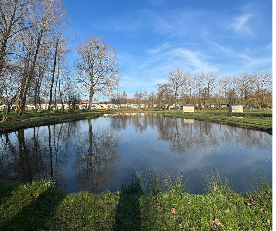 Etang Le Combattant des Etangs Martin Pêcheur