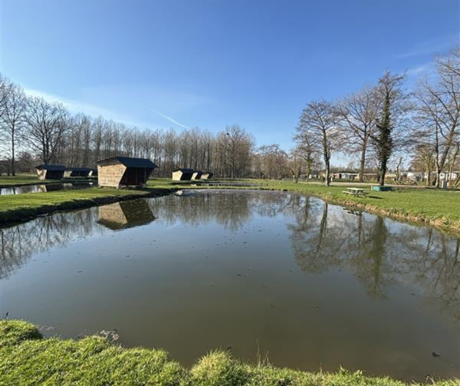 Etang Le Crapaud des Etangs Martin Pêcheur