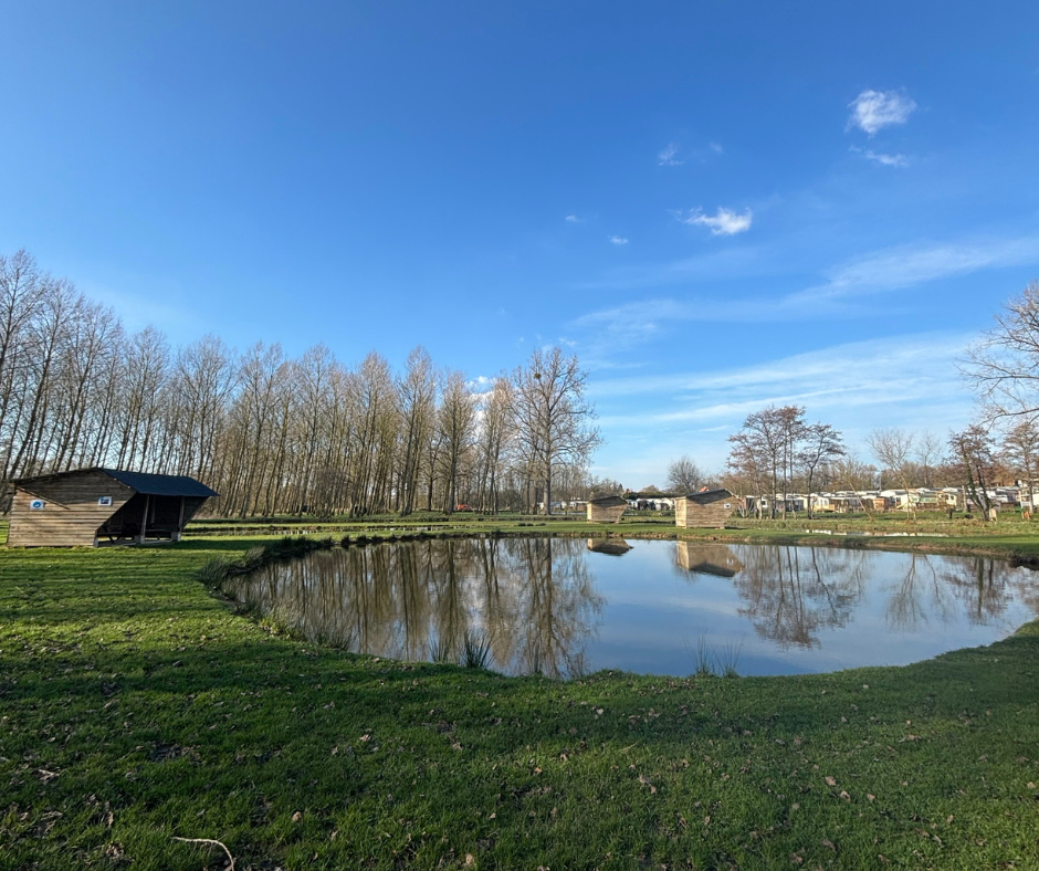 Etang Le Globe des Etangs Martin Pêcheur