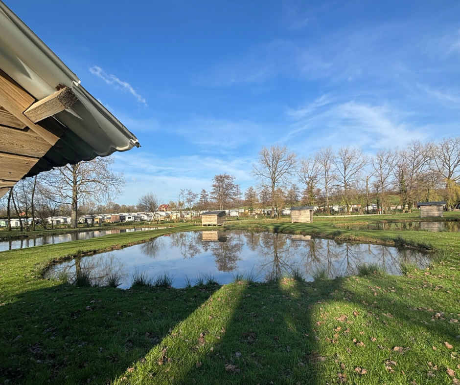 Etang Le Martin Pêcheur
