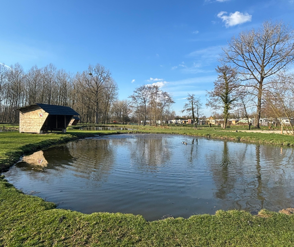 Etang Le Papris des Etangs Martin Pêcheur