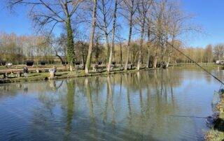 Etangs