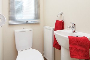 Toilette du mobil-home ROSEWOOD